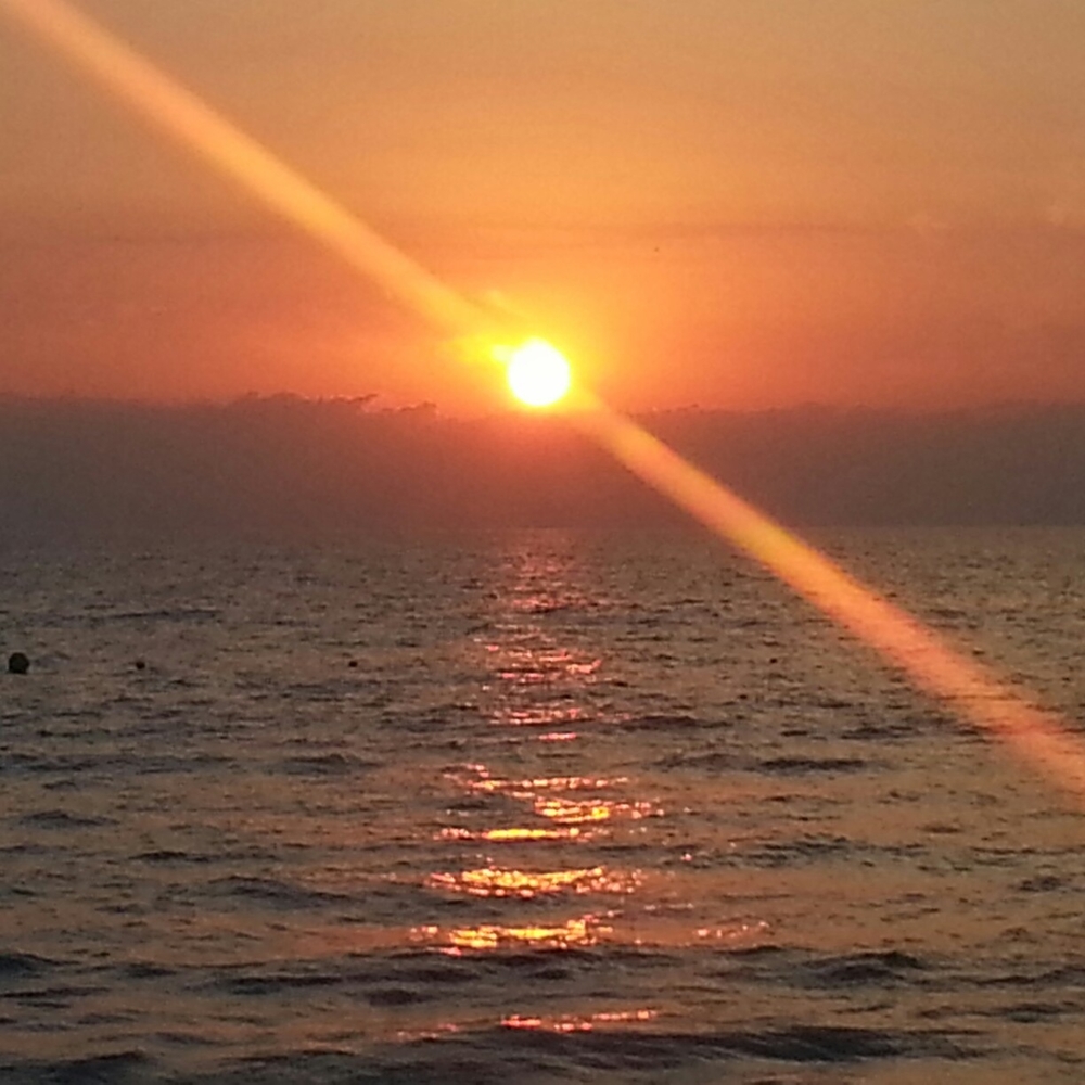 Meet your Posher, Dee